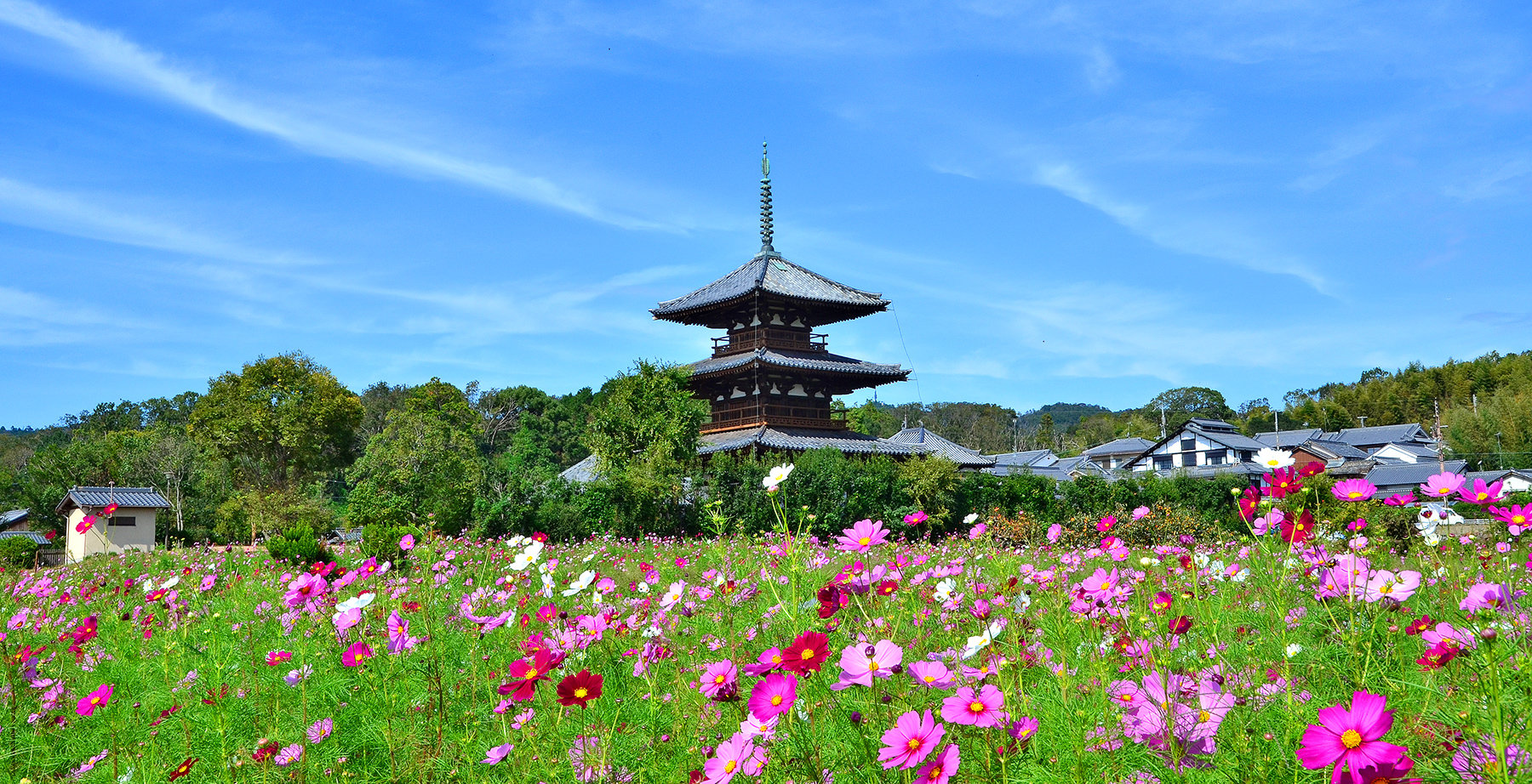 法隆寺